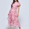 Carleigh Printed Mesh Tiered Maxi Dress, Pink Floral